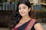 Pranitha Saree Photos
